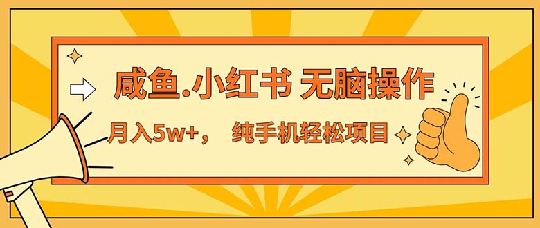 （11524期）2024最赚钱的项目，咸鱼，小红书无脑操作，每单利润500+，轻松月入5万+…-前沿谈项目