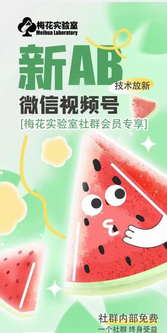 梅花实验室2024年AB技术视频号AB合成破解版-前沿谈项目