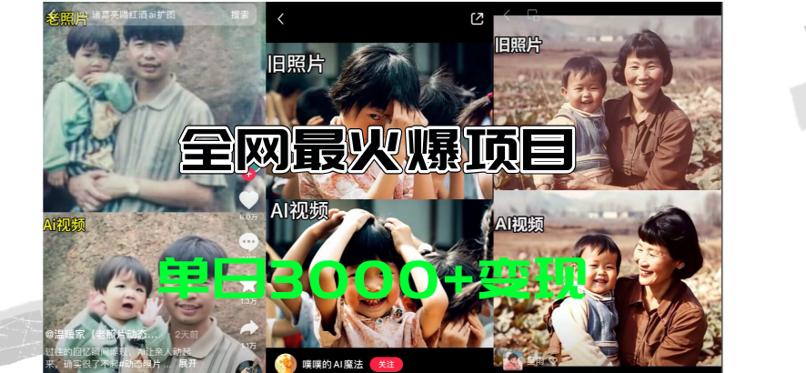 （11546期）全网爆火的AI让老照片动起来教程，蹭热点日赚3000+，内含免费工具一键…-前沿谈项目