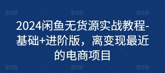 2024闲鱼无货源实战教程-基础+进阶版，离变现最近的电商项目-前沿谈项目