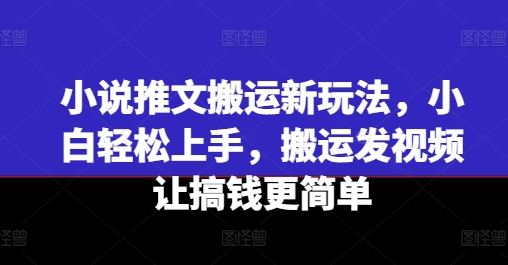 小说推文搬运新玩法，小白轻松上手，搬运发视频让搞钱更简单-前沿谈项目