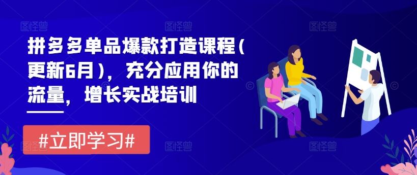 拼多多单品爆款打造课程(更新6月)，充分应用你的流量，增长实战培训-前沿谈项目