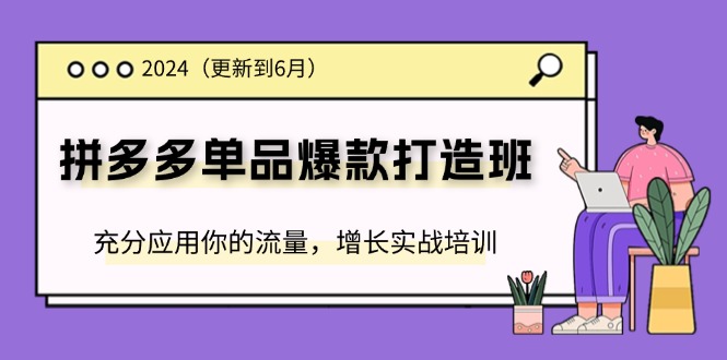 （11556期）2024拼多多-单品爆款打造班(更新6月)，充分应用你的流量，增长实战培训-前沿谈项目