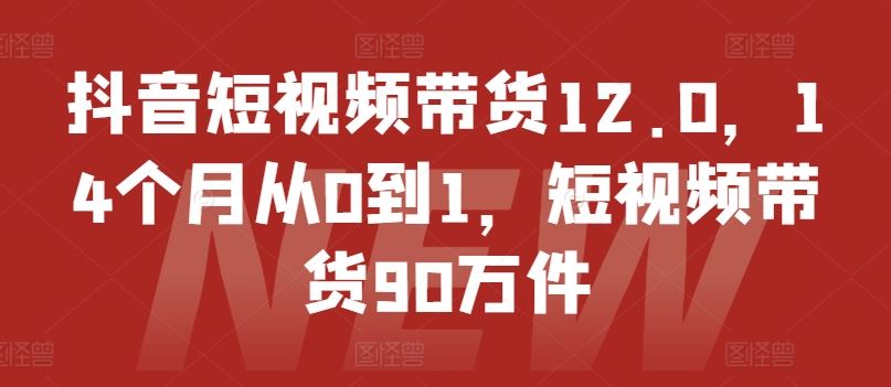 抖音短视频带货12.0，14个月从0到1，短视频带货90万件-前沿谈项目