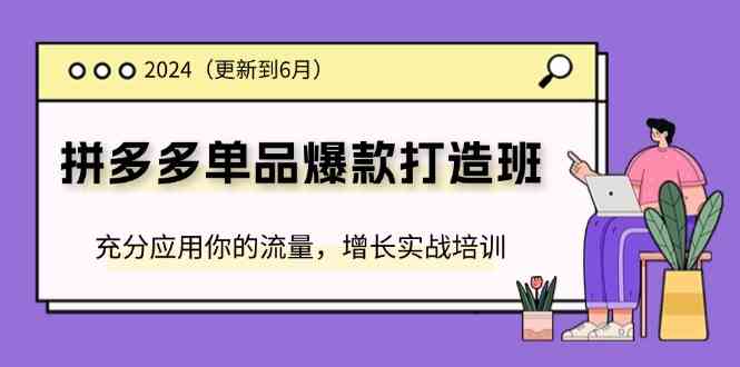2024拼多多单品爆款打造班，充分应用你的流量，增长实战培训(更新6月)-前沿谈项目