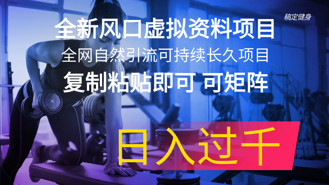 （11587期）全新风口虚拟资料项目 全网自然引流可持续长久项目 复制粘贴即可可矩阵…-前沿谈项目