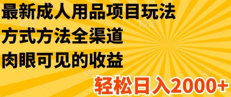 最新成人用品项目玩法，方式方法全渠道，轻松日入2K+【揭秘】-前沿谈项目