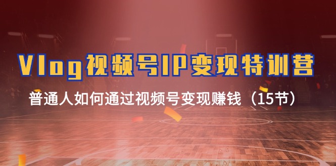 （11654期）Vlog 视频号IP变现特训营，普通人如何通过视频号变现赚钱（15节）-前沿谈项目