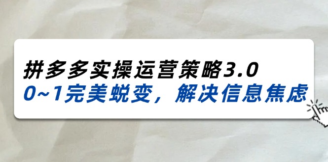 （11658期）2024_2025拼多多实操运营策略3.0，0~1完美蜕变，解决信息焦虑（38节）-前沿谈项目