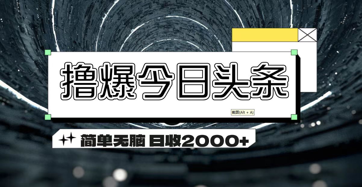 （11665期）撸爆今日头条 简单无脑操作 日收2000+-前沿谈项目