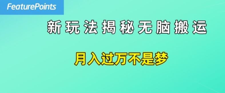 简单操作，每天50美元收入，搬运就是赚钱的秘诀【揭秘】-前沿谈项目