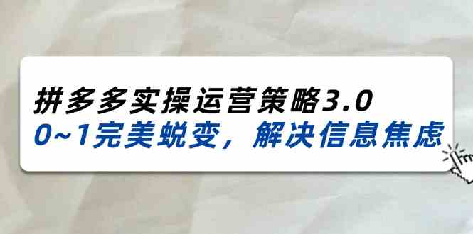 2024-2025拼多多实操运营策略3.0，0~1完美蜕变，解决信息焦虑（38节）-前沿谈项目