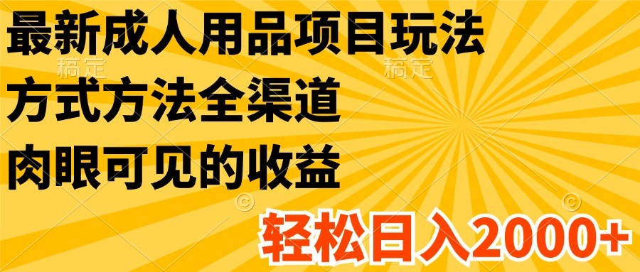 最新成人用品项目玩法，方式方法全渠道，肉眼可见的收益，轻松日入2000+-前沿谈项目