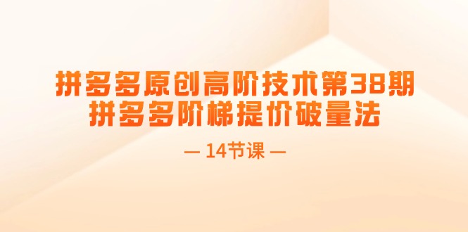 （11704期）拼多多原创高阶技术第38期，拼多多阶梯提价破量法（14节课）-前沿谈项目
