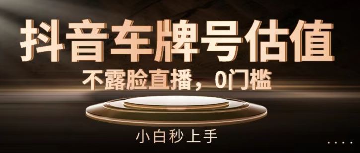 抖音车牌号估值，不露脸直播，0门槛，小白秒上手【揭秘】-前沿谈项目