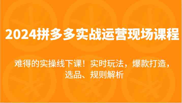 2024拼多多实战运营现场课，实时玩法，爆款打造，选品、规则解析，难得的实操线下课！-前沿谈项目