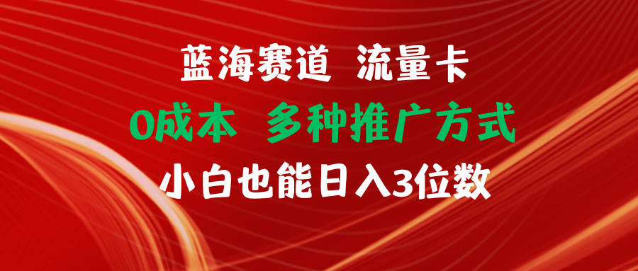 （11768期）蓝海赛道 流量卡 0成本 小白也能日入三位数-前沿谈项目