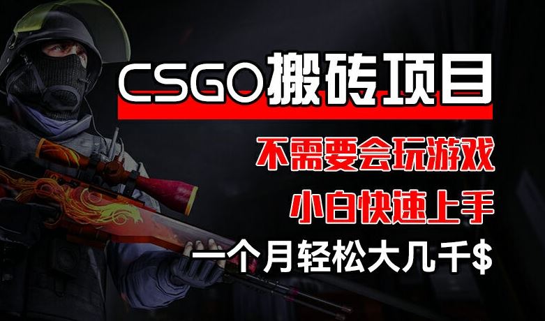 CSGO 装备搬砖项目，操作简单，不需要会玩游戏，小白也能快速上手，一个月轻松大几千【揭秘】-前沿谈项目
