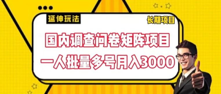 国内调查问卷矩阵项目，一人批量多号月入3000【揭秘】-前沿谈项目
