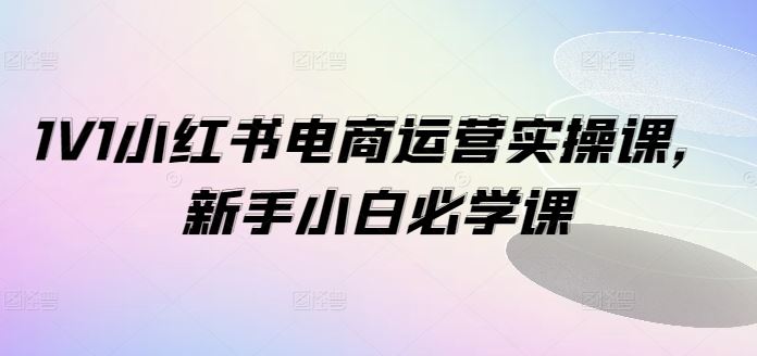 1V1小红书电商运营实操课，新手小白必学课-前沿谈项目