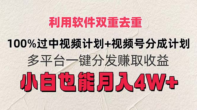 （11862期）利用软件双重去重，100%过中视频+视频号分成计划小白也可以月入4W+-前沿谈项目