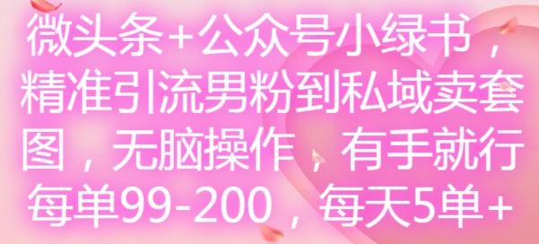 微头条+公众号小绿书，精准引流男粉到私域卖套图，无脑操作，有手就行，每单99-200，每天5单-前沿谈项目