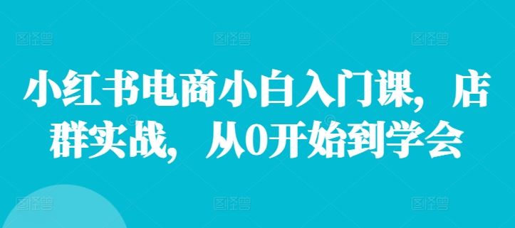 小红书电商小白入门课，店群实战，从0开始到学会-前沿谈项目