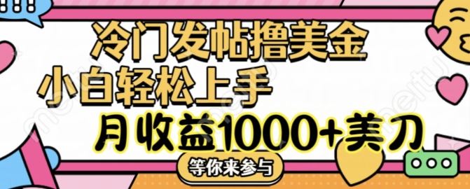 冷门发帖撸美金项目，月收益1000+美金，简单无脑，干就完了【揭秘】-前沿谈项目