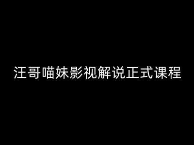 汪哥影视解说正式课程：剪映/PR教学/视解说剪辑5大黄金法则/全流程剪辑7把利器等等-前沿谈项目