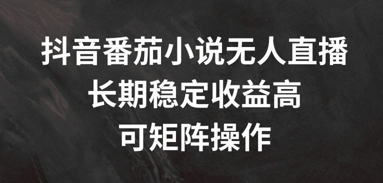 抖音番茄小说无人直播，长期稳定收益高，可矩阵操作【揭秘】-前沿谈项目