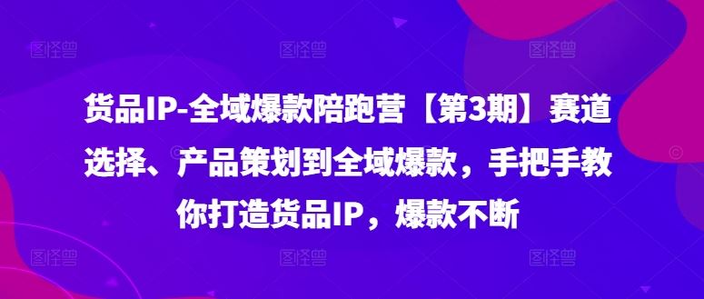 货品IP全域爆款陪跑营【第3期】赛道选择、产品策划到全域爆款，手把手教你打造货品IP，爆款不断-前沿谈项目