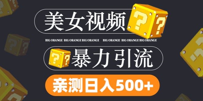 搬运tk美女视频全网分发，日引s粉300+，轻松变现，不限流量不封号-前沿谈项目