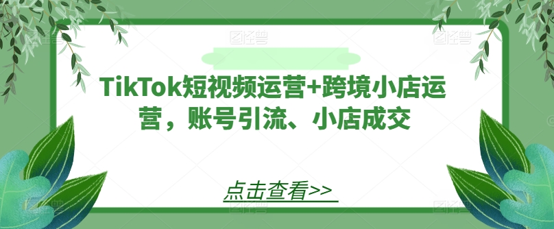TikTok短视频运营+跨境小店运营，账号引流、小店成交-前沿谈项目