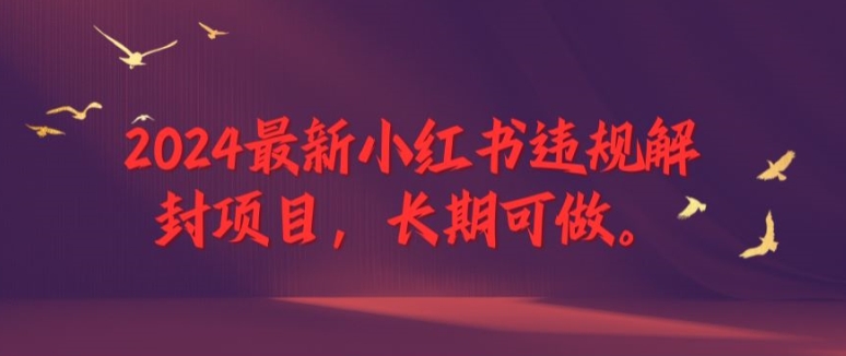 2024最新小红书违规解封项目，长期可做，一个可以做到退休的项目-前沿谈项目