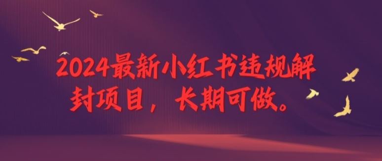 2024最新小红书违规解封项目，长期可做，一个可以做到退休的项目【揭秘】-前沿谈项目