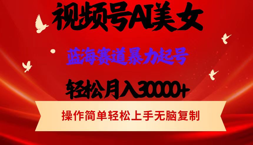 （12178期）视频号AI美女跳舞，轻松月入30000+，蓝海赛道，流量池巨大，起号猛，当…-前沿谈项目