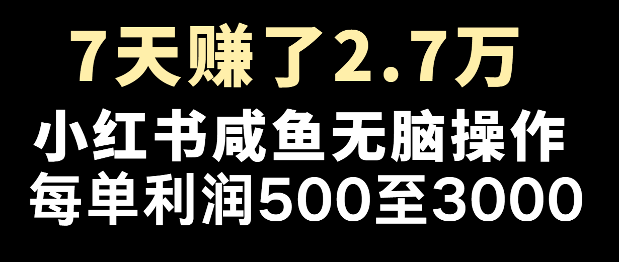 七天赚了2.7万！每单利润最少500+，轻松月入5万+小白有手就行-前沿谈项目