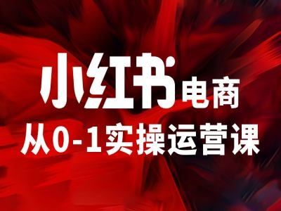 小红书电商从0-1实操运营课，让你从小白到精英-前沿谈项目