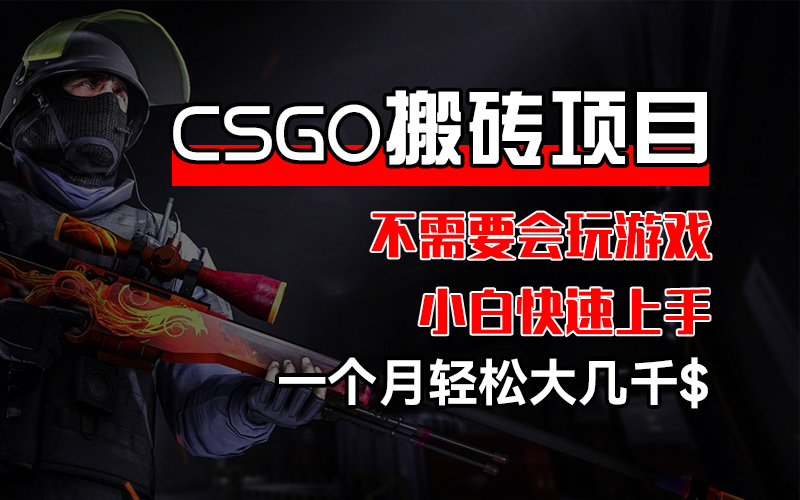 （12332期）CSGO 装备搬砖项目，操作简单，不需要会玩游戏，小白也能快速上手，一…-前沿谈项目