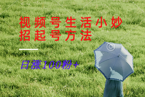 视频号生活小妙招分享赛道， 起号涨粉新方法，日涨100粉-前沿谈项目
