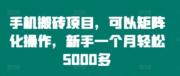 手机搬砖项目，可以矩阵化操作，新手一个月轻松5000多-前沿谈项目