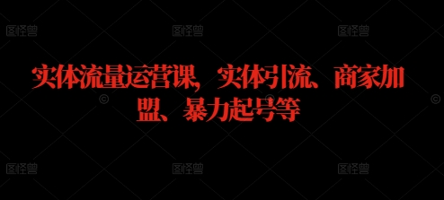 实体流量运营课，实体引流、商家加盟、暴力起号等-前沿谈项目