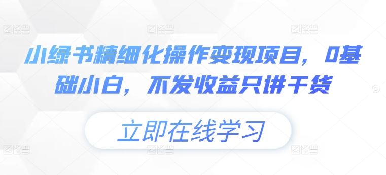 小绿书精细化操作变现项目，0基础小白，不发收益只讲干货-前沿谈项目